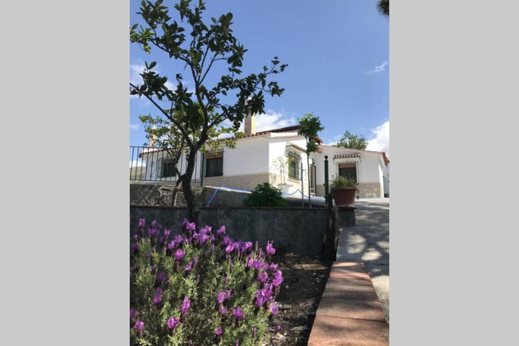 Villa Casa Dimas à Cómpeta Extérieur photo